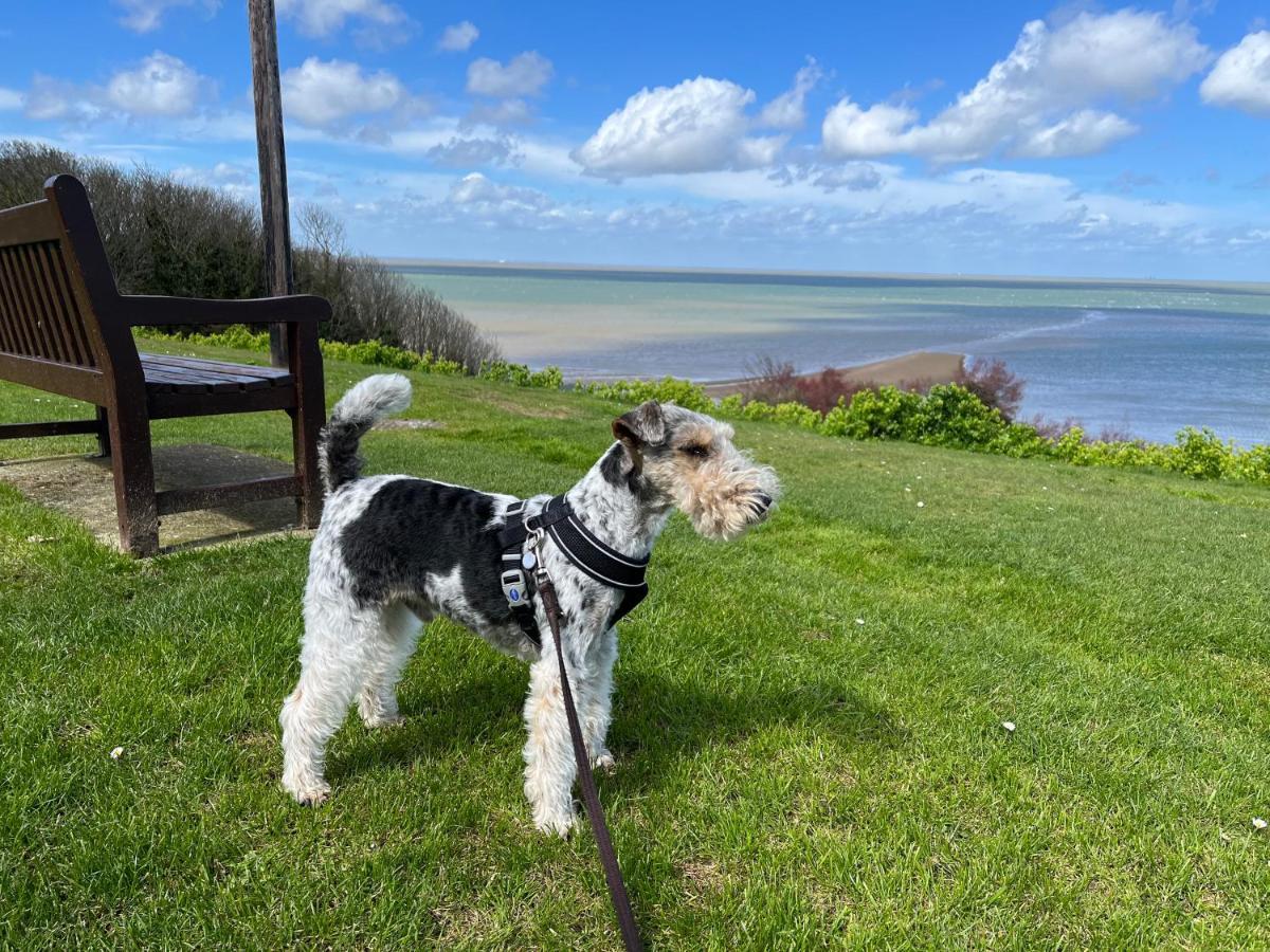 Вілла Whitstable The Jolly Екстер'єр фото